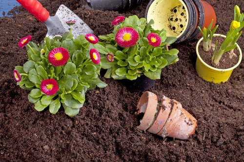 Beautifully landscaped garden in Norwood showcasing vibrant flowers and greenery