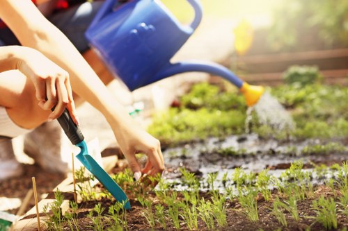 Team member inspecting a lawn for ethical labour compliance