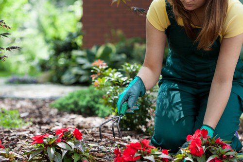 Eco-friendly lawn care practices in action