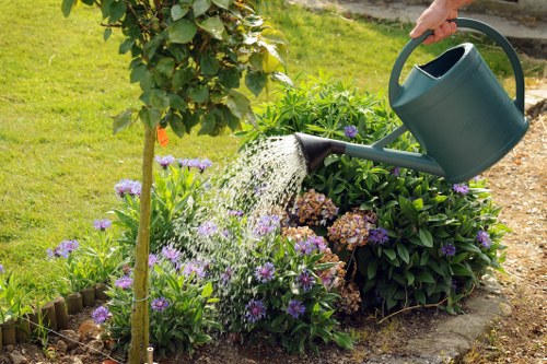 A person watering a garden bed with a green watering can, positioned near a young tree with a wooden stake, surrounded by flowering plants including purple and pink blossoms, with a neatly maintained grassy lawn in the background. The garden area is bordered by a stone or brick edge, and the environment appears to be an outdoor domestic garden during daylight, with natural sunlight illuminating the scene. The lush greenery and vibrant flowers indicate active garden maintenance, typical of outdoor landscaping services such as lawn care and planting. The setting may be within a residential area in Norwood, south London, reflecting local gardening styles and outdoor environment, with the scene captured on a clear day suitable for routine garden upkeep by Lawn Mowing Norwood or similar local gardening specialists.