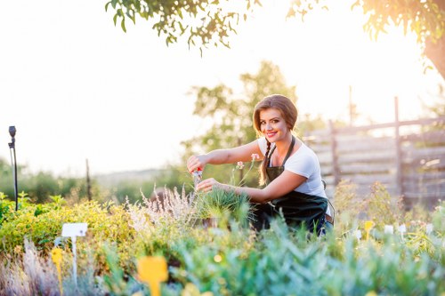 Professional lawn mowing service in Norwood