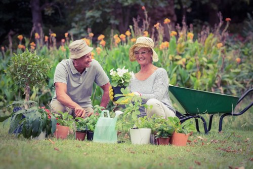 Proper lawn care techniques in Norwood